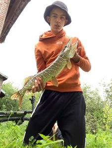 Northern Pike