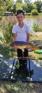 Mirror Carp