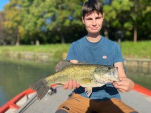 Largemouth Bass