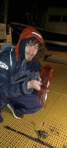 European Squid