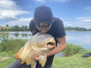 Mirror Carp