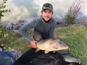 Mirror Carp
