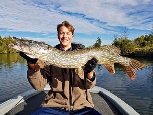 Northern Pike