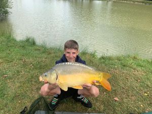 Mirror Carp