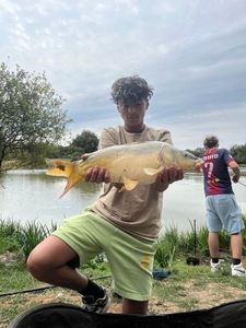 Leather Carp