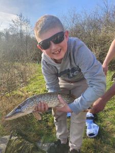 Northern Pike