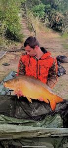 Mirror Carp