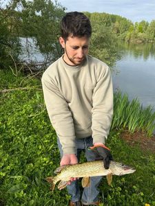 Northern Pike