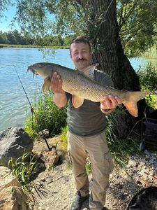 Barbel