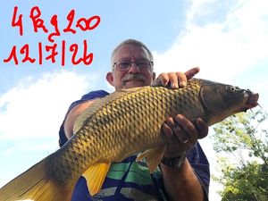 Common Carp