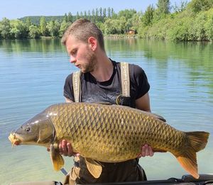Common Carp
