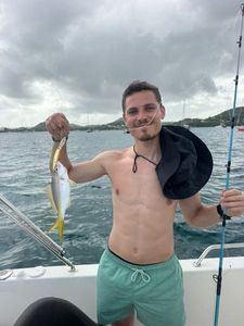 Yellowtail Snapper