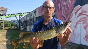 Northern Pike