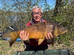 Mirror Carp