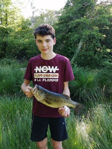 Largemouth Bass