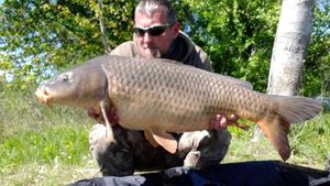 Common Carp