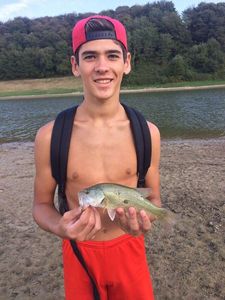 Largemouth Bass