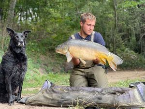 Mirror Carp