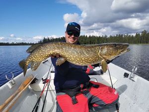 Northern Pike