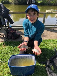 Crucian Carp