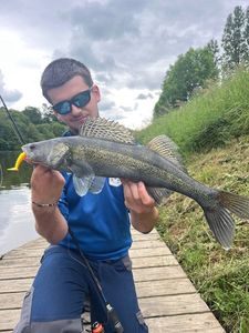 Zander