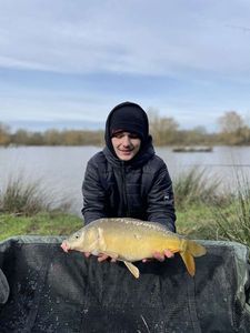 Mirror Carp