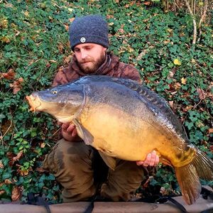 Mirror Carp