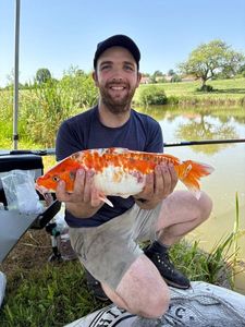 Koï Fish