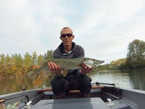Northern Pike