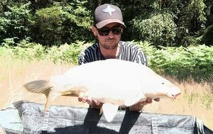 Mirror Carp