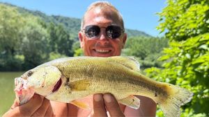 Smallmouth Bass