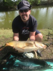 Common Carp