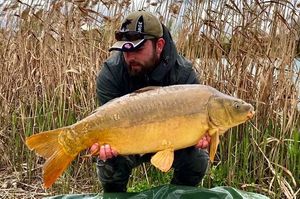 Mirror Carp