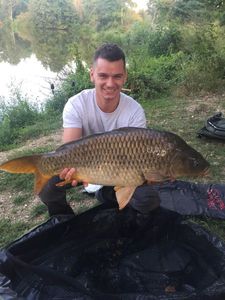 Common Carp