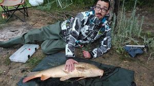 Common Carp