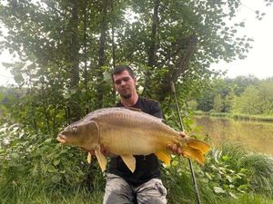 Mirror Carp