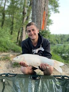 Koï Fish