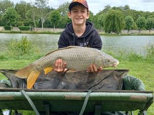 Common Carp