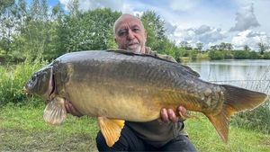 Mirror Carp