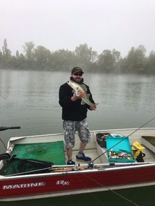 Zander