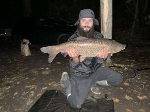 Grass Carp