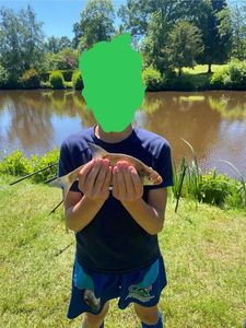 Common Bream