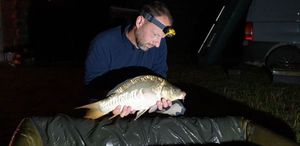 Mirror Carp