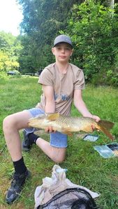 Common Carp
