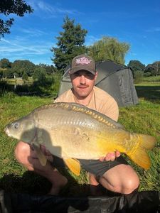 Mirror Carp