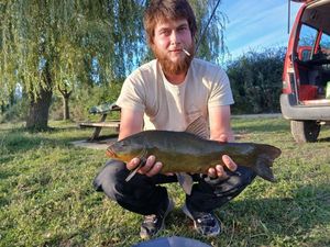Tench