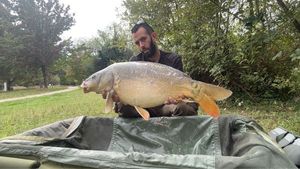 Mirror Carp