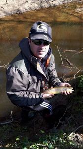 Brown Trout