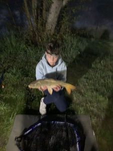 Mirror Carp