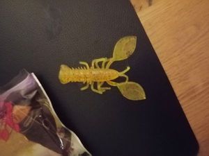 Noble Crayfish